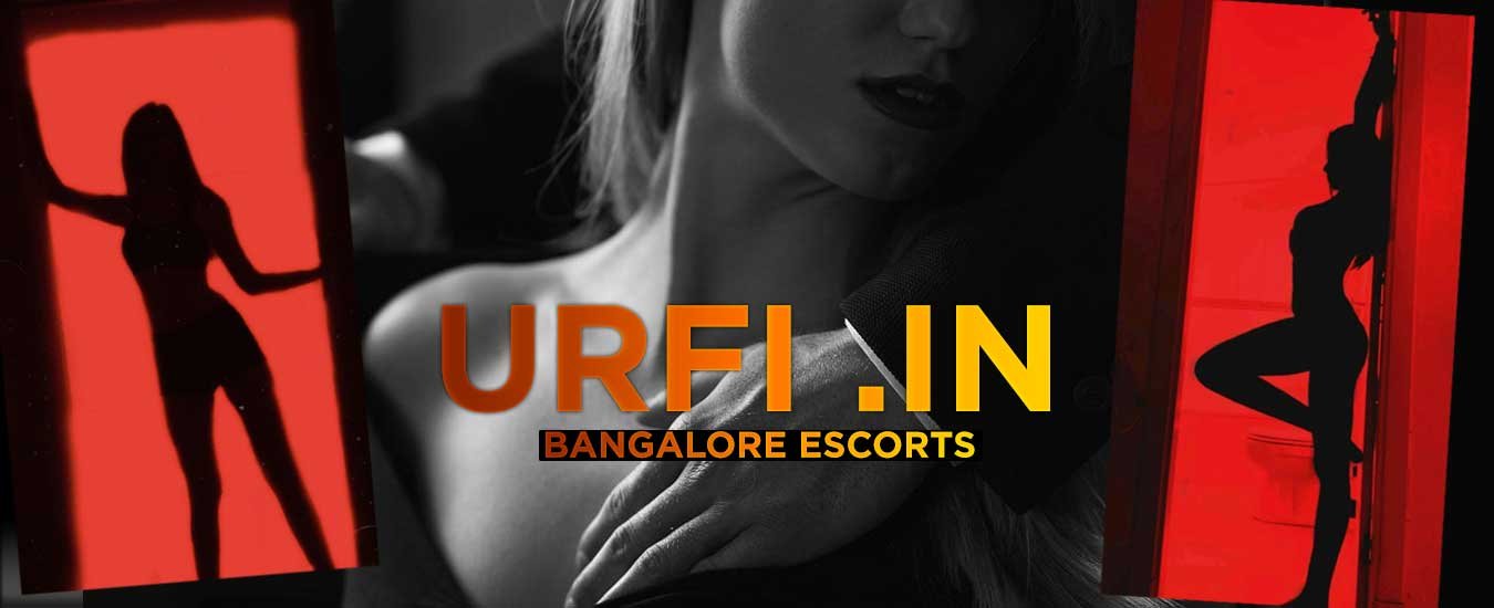  Ludhiana call girl service bannner